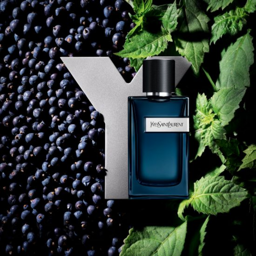 (Inspired By Y EDP Intense Y#es Saint Laurent) Raees Perfume